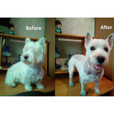 Baorun Professional Pet Dog Hair