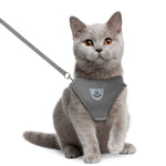 Cat Walking Jacket Harness and Leash Pets Puppy Kitten Clothes Adjustable Vest